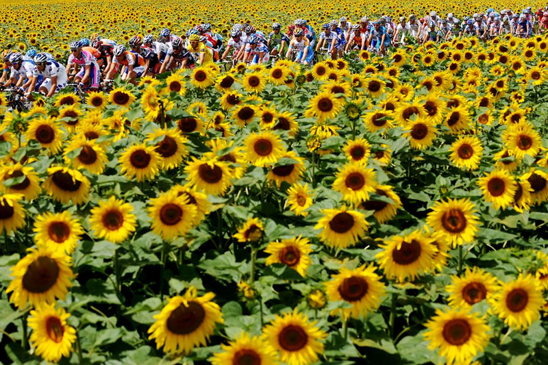 tour de france