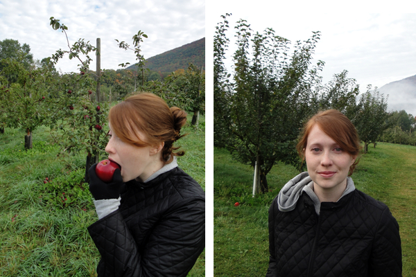 Vermont-apples8