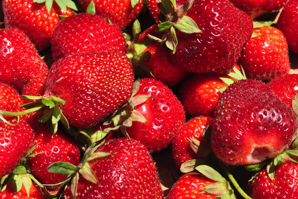 Freshstrawberries