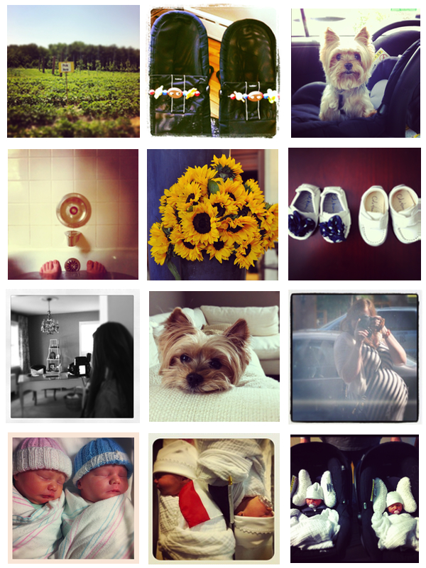 My-instagram-life