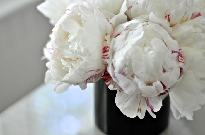 white-peonies