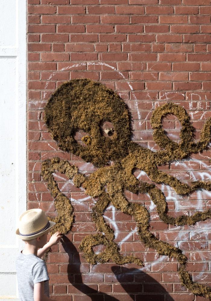 great-barrington-moss-street-art